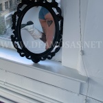 image host