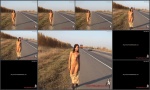 Liza flashes drivers walking naked down the road