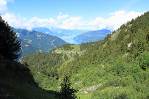 6 DE JULIO. RUTA A SCHYNIGE PLATTE. - De ruta en ruta por Suiza, 2023 (8)