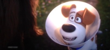 The Secret Life of Pets 2 (2019) 720p - HDCAMRip - AVC - AAC-IcTv Exclusive The Secret Life of Pets 2 (2019) 720p - HDCAMRip - AVC - AAC-IcTv Exclusive