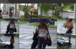 Czechav Tits in rain