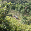 Hiking Tin Shui Wai 2023 July - 頁 2 DXGjwWWC_t
