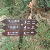 Hiking Tin Shui Wai 2023 July - 頁 3 ErDqo33B_t