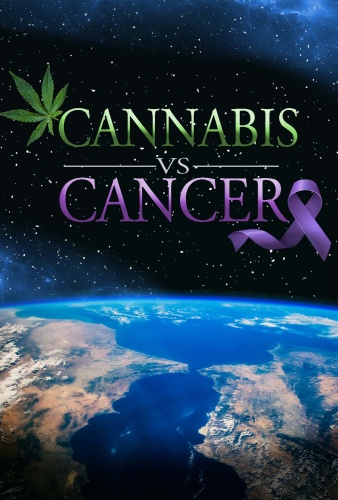 Cannabis vs Cancer 2019 WEBRip x264 ION10