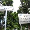 Hiking Tin Shui Wai 2023 July GhFrSB0P_t