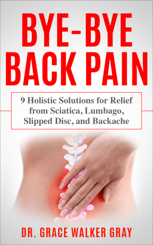 Bye Bye Back Pain 9 Holistic Solutions for Relief from Sciatica Lumbago Slipped Disc and Backache