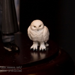 SHF Hogwarts Harry Potter - SH Figuarts (Bandai) - Page 2 WBmrADJy_t