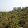 Tin Shui Wai Hiking 2023 UyUSMARX_t