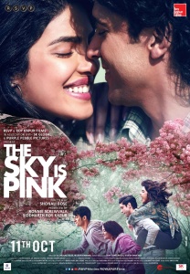 The Sky Is Pink (2019) Hindi 720p NETFLIX WEB-DL x264 AAC DD-5 1 Esubs Bongrocker...