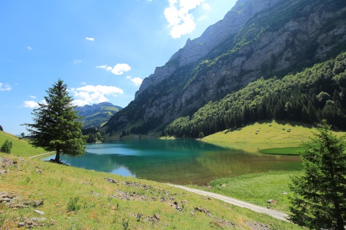 11 DE JULIO. SEEALPSEE. PUEBLO DE APPENZEL - De ruta en ruta por Suiza, 2023 (8)