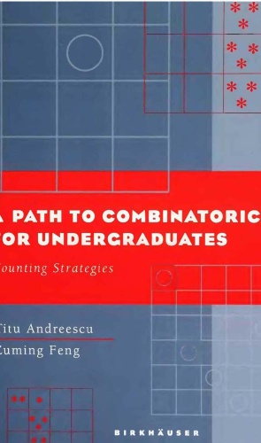 A Path to Combinatorics for Undergraduates Counting Strategies