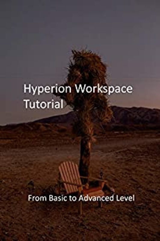 Hyperion Workspace Tutorial From Basic to Advanced Level