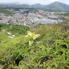 Hiking Tin Shui Wai 2023 July N1AW44bB_t