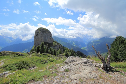 6 DE JULIO. RUTA A SCHYNIGE PLATTE. - De ruta en ruta por Suiza, 2023 (10)