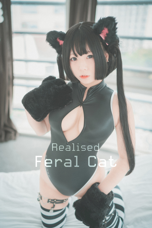 我是一只可爱的黑猫——Maruemon - Realised Feral Cat