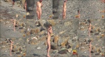 Nudebeachdreams Nudist video 00801