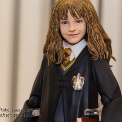 SHF Hogwarts Harry Potter - SH Figuarts (Bandai) - Page 2 AqLMwPfI_t