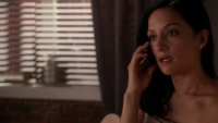 Archie Panjabi - The Good Wife S06E08: Red Zone 2014, 63x