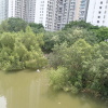 Tin Shui Wai Hiking 2023 - 頁 3 S49buCK6_t