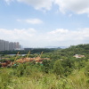 Hiking Tin Shui Wai 2023 July - 頁 2 En0sA4Jx_t