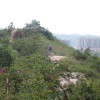 Hiking Tin Shui Wai 2023 July - 頁 2 B5i3t50A_t