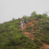 Hiking Tin Shui Wai - 頁 24 1Bb0il2c_t