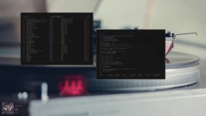 G487znsj_t.png
