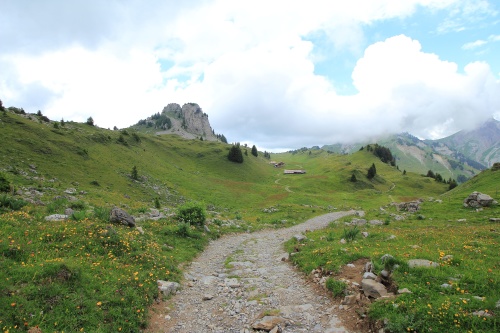 6 DE JULIO. RUTA A SCHYNIGE PLATTE. - De ruta en ruta por Suiza, 2023 (19)