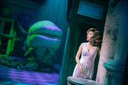 Sarah Hyland - Evan Zimmerman for Off-Broadway's Little Shop of Horrors Westside Theatre May 2024