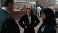 Gillian Anderson - The X-Files S03E16: Apocrypha (2) 1996, 51x