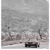 Targa Florio (Part 4) 1960 - 1969  - Page 10 0pYy4g6H_t