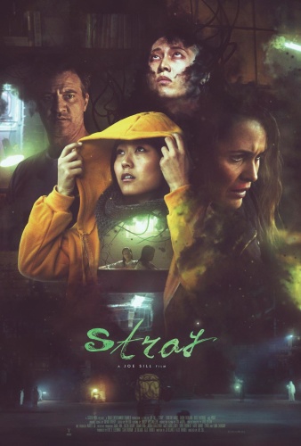 Stray 2019 WEB-DL x264-FGT