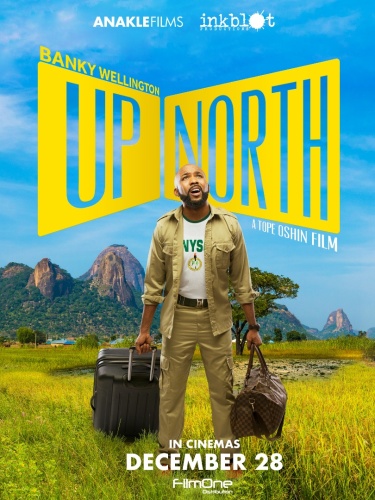 Up North 2018 1080p WEBRip x264-RARBG