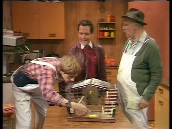Only Fools and Horses 1981 The Complete Collection DVDRip 576p BBC Story of 2002 Interviews