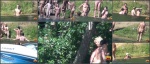 Nudebeachdreams Nudist video 00718