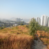 Hiking Tin Shui Wai - 頁 30 GHz5I8QA_t