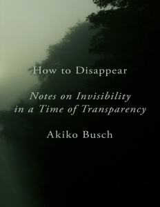 How to Disappear Notes on Invisibility by Akiko Busch