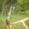 Hiking Tin Shui Wai - 頁 16 Bc1JyUaY_t