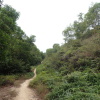 Hiking Tin Shui Wai 2023 July - 頁 3 UC5zmb3R_t