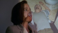 Gillian Anderson - The X-Files S05E16: Mind's Eye 1998, 28x