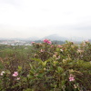 Tin Shui Wai Hiking 2023 - 頁 3 KAiEdDSm_t