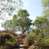 Hiking Tin Shui Wai 2023 July - 頁 3 GLECjEMX_t