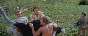 Swiss Family Robinson 1960