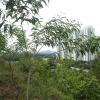 Hiking Tin Shui Wai 2023 July Q3NmsvFH_t