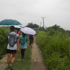 Hiking Tin Shui Wai - 頁 24 ToeOZB4Z_t