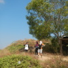 Hiking Tin Shui Wai - 頁 29 KUHnufKR_t