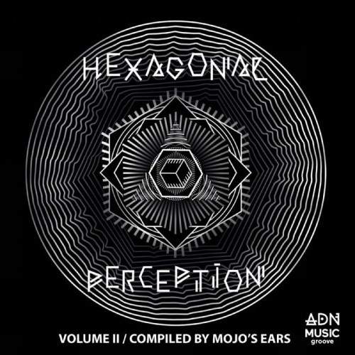 VA Hexagonal Perception, Vol 2 (2020)