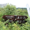 Hiking Tin Shui Wai 2023 July DAf2riM4_t