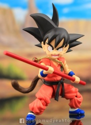 [Comentários] Dragon Ball Z SHFiguarts - Página 27 Ri7yo2oB_t