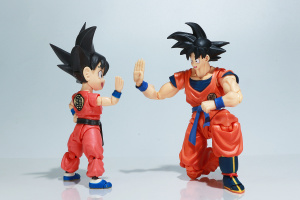 Dragon Ball - S.H. Figuarts (Bandai) - Page 3 CvMT2FpP_t